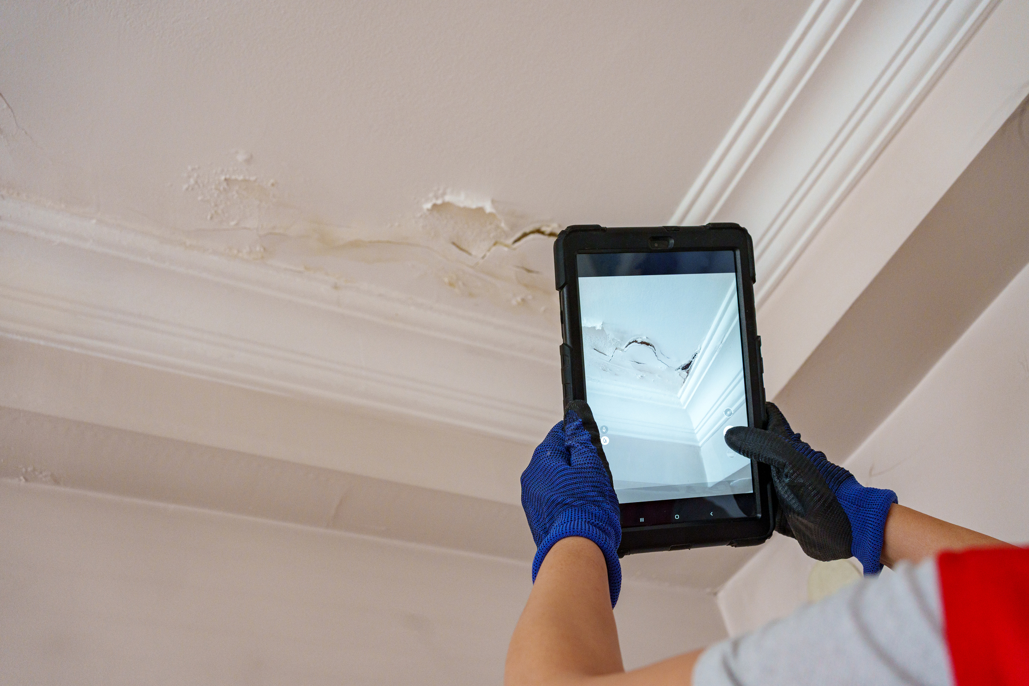 Spotting Hidden Water Damage Before It's Too Late. Water Damage Restoration in Alaska